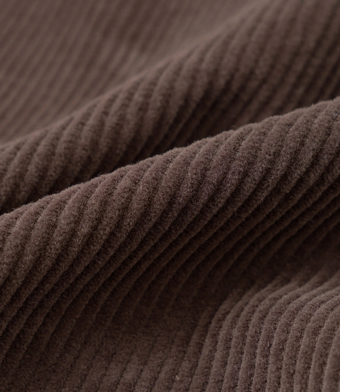 Pleated track pant cord - Cacao