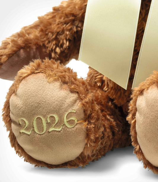 Cosy Year bear 2026 brown